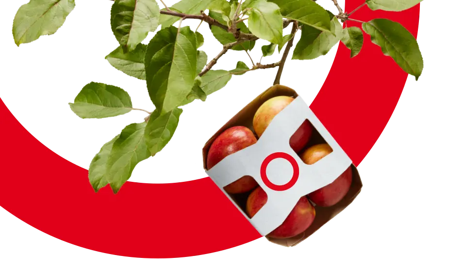 EASY-LIZE - Verpackungslizenz von EKO-PUNKT - Grafik nachhaltige Verpackungen Circular Contracting Recyklat 